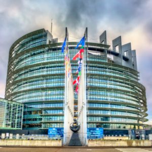 Vendredi après-midi :
Assemblée Générale dans l'hémicycle du Parlement Européen.

1 Allée du Printemps, 67000 Strasbourg

Bus : Ligne H terminus Parlement Européen

Tram : Ligne E arrêt Parlement Européen